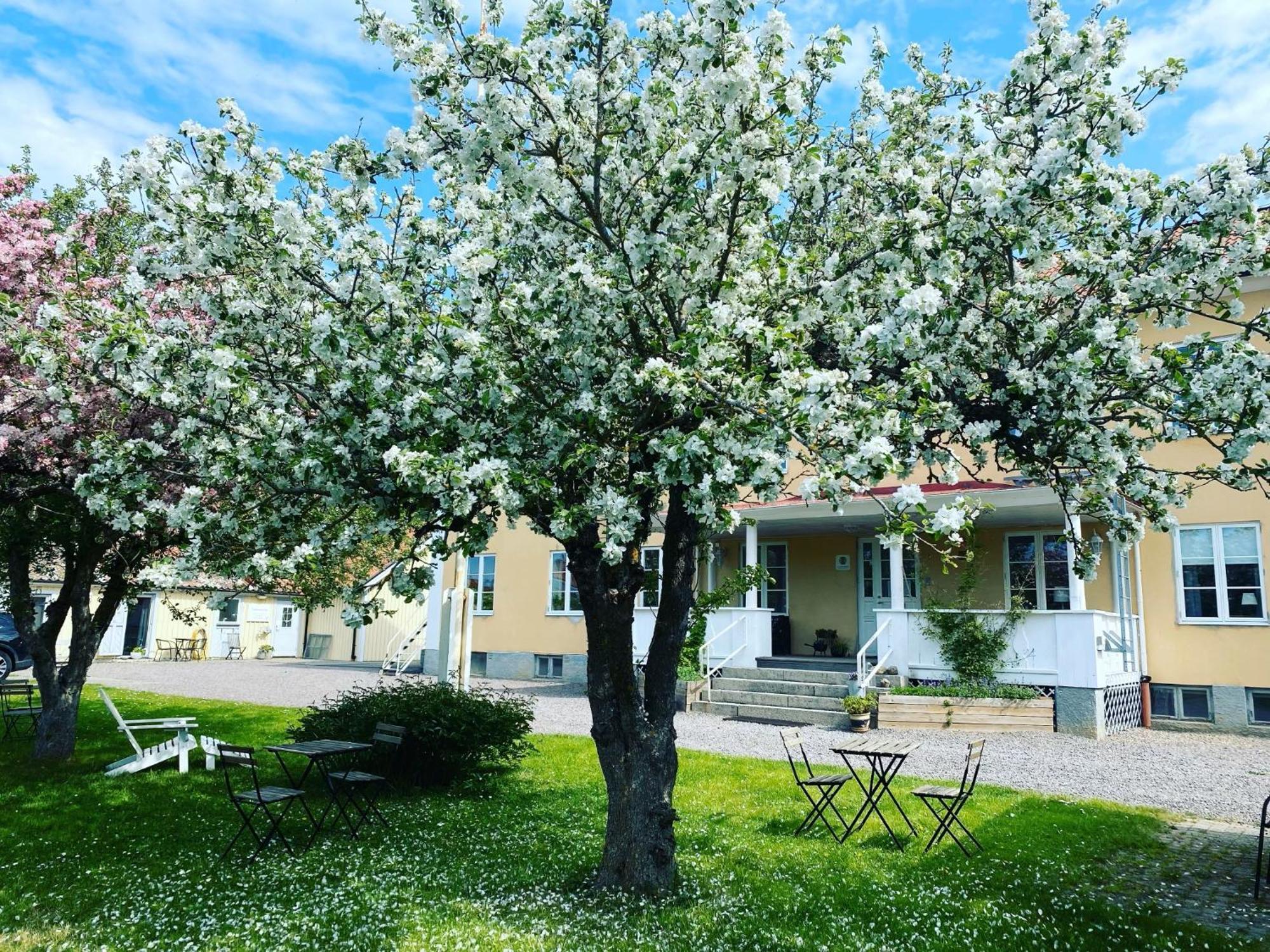 Vadstena Vandrarhem-Hostel Luaran gambar